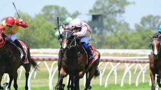 Summer Ready finds her white knight